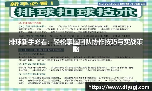 排球新手必看：轻松掌握团队协作技巧与实战策略