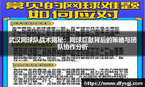 武汉网球队战术揭秘：网球巨献背后的策略与团队协作分析